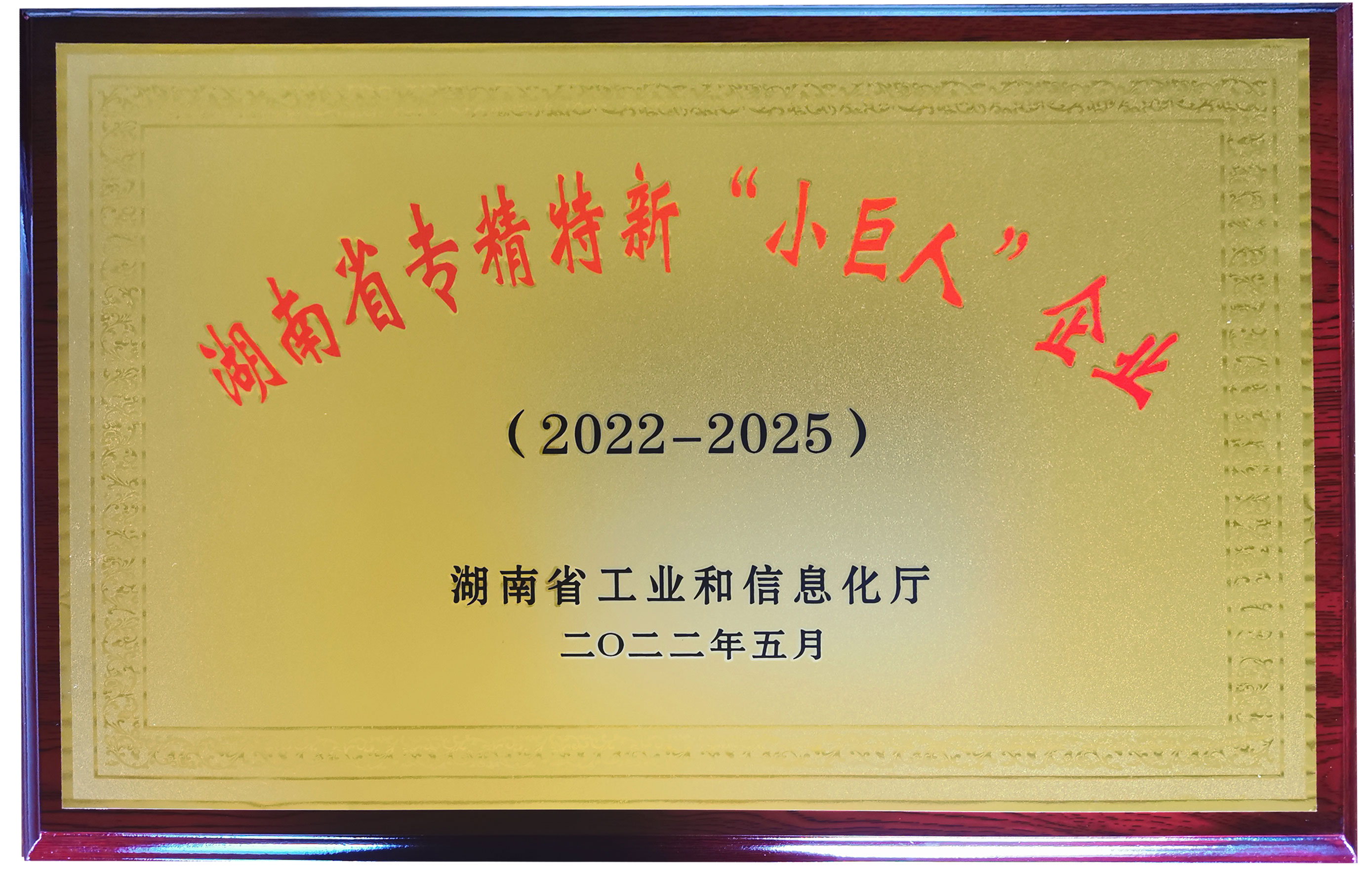 L(zhng)ɳ섓(chung)ĩg(sh)޹˾J(rn)ʡ¡СˡI(y)